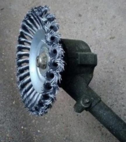 Foto de la reseña