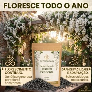 PerfumSeeds: Sementes de jasmim pendente